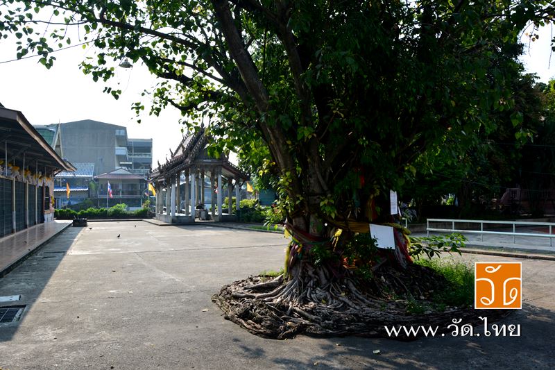 วัดอัปสรสวรรค์วรวิหาร (Wat Absornsawan) ตั้งอยู่ ถนนเทอดไท ซอยรัชมงคลประสาธน์ แขวงปากคลอง เขตภาษีเจร