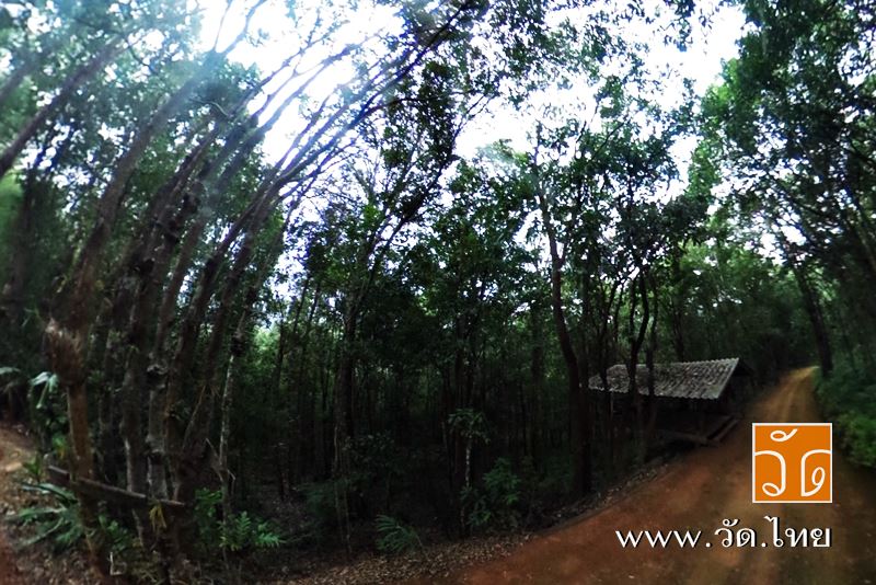 วัดดอยป่าแป๋ (Wat Doi PaPae) ตำบลป่าพลู อำเภอบ้านโฮ่ง จังหวัดลำพูน 51130