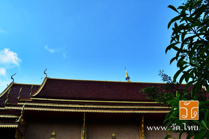 วัดวังหลวง (Wat Wang Luang) ตั้งอยู่เลขที่ 84 หมู่ 1 บ้านวังหลวง ตำบลป่าพลู อำเภอบ้านโฮ่ง จังหวัดลำพ