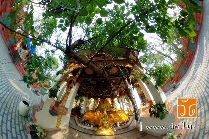 วัดพระธาตุแสนคำฟู (Wat Phra That Saen Kham Fu) ตั้งอยู่ที่ หมู่ที่ 1 บ้านสันต้นเปา ตำบลแม่เงิน อำเภอเชียงแสน จังหวัดเชียงราย 57150
