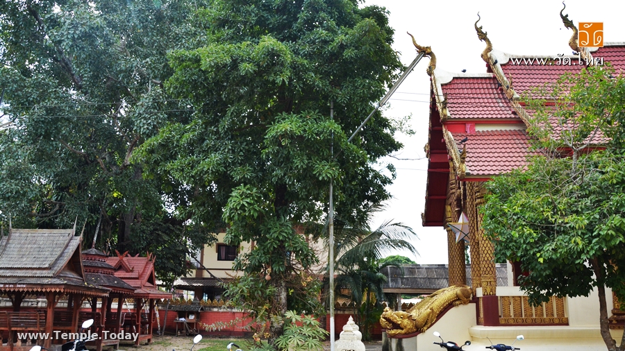 วัดปงสนุก เชียงแสน (Wat Pong Sanuk) ถนนริมโขง ตำบลเวียง อำเภอเชียงแสน จังหวัดเชียงราย 57150