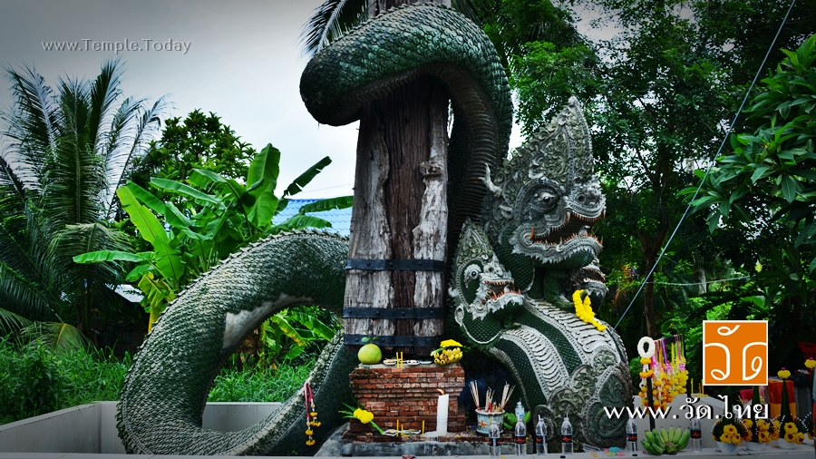 วัดป่าคลอง11 (Wat Pa Klong11) ตำบลบึงกาสาม อำเภอหนองเสือ จังหวัดปทุมธานี 12170