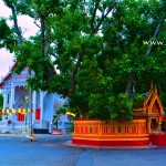 วัดพระงาม (Wat Phra Ngam) ตำบลพระปฐมเจดีย์ อำเภอเมือง จังหวัดนครปฐม